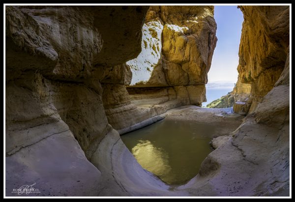 The Hidden Rock Pool